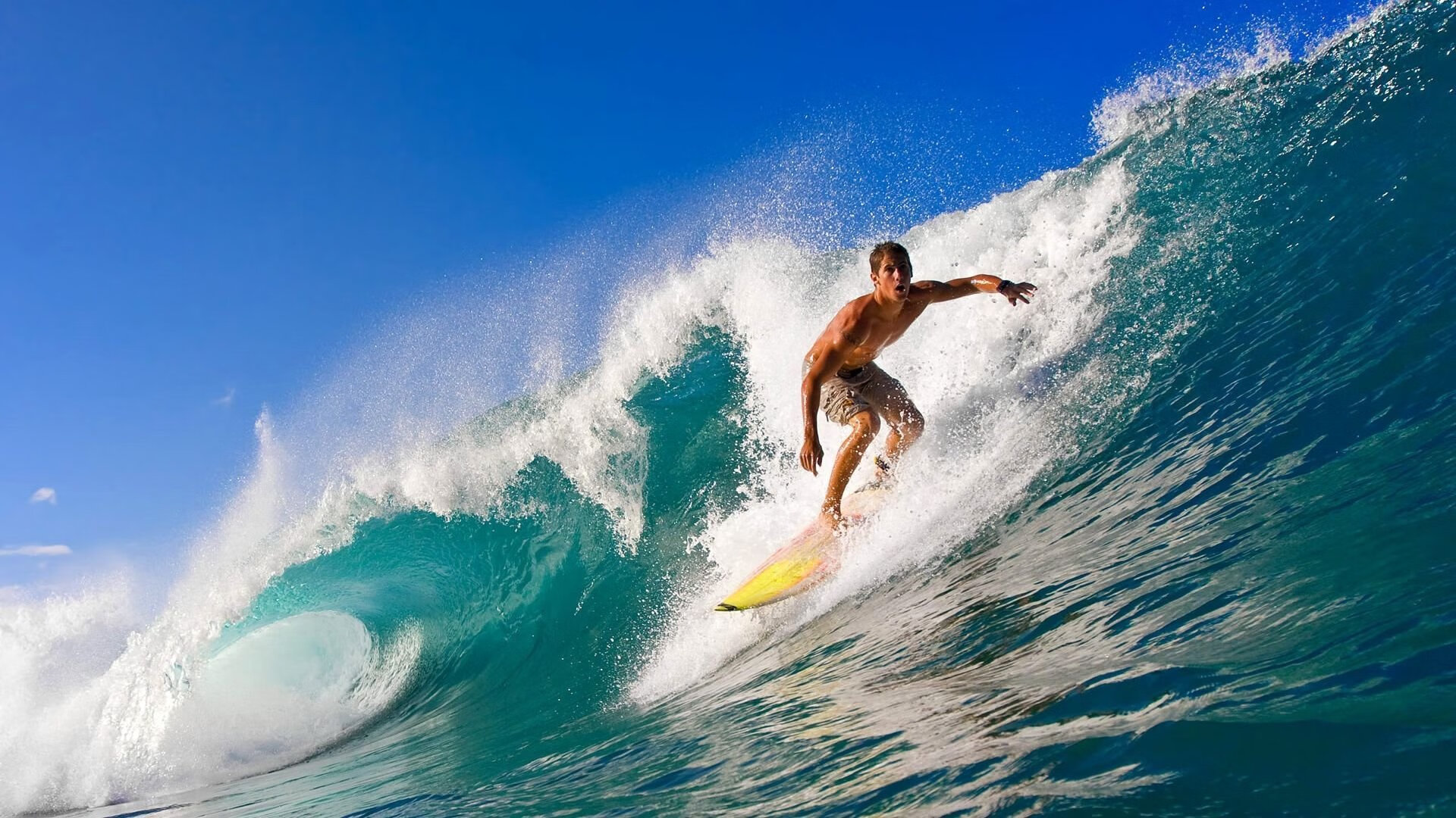 开云kaiyun-多平台联合举办电竞赛,扩大行业影响力,电竞联赛正式启动